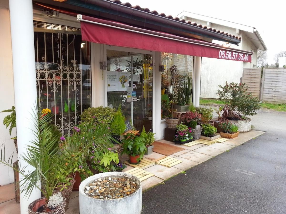 Harmonie de Couleurs