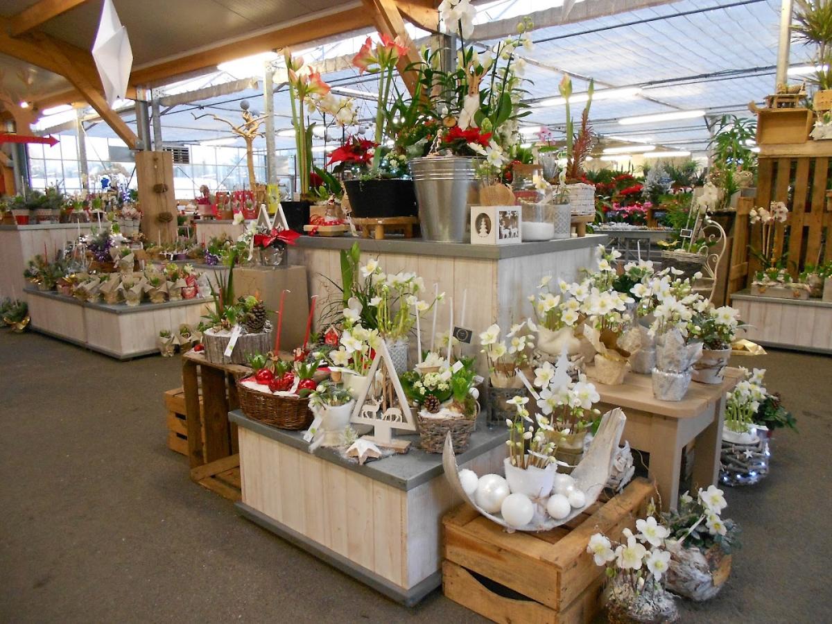 Serre des Trois Fontaines