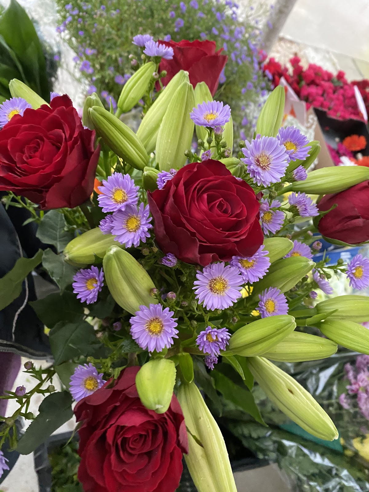 SARL REPUSSARD FLEUR