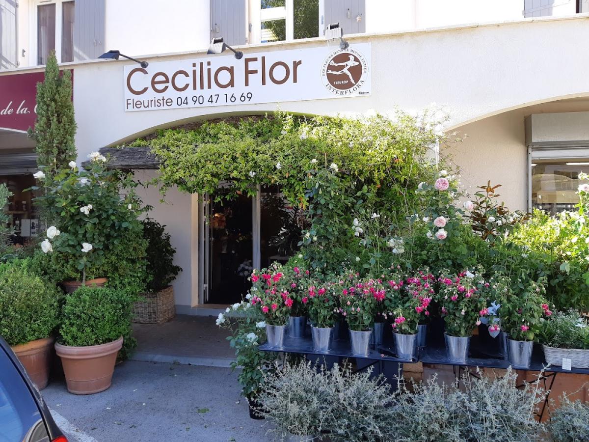 Cécilia Flor