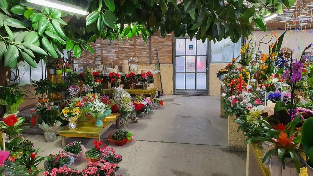 La Roseraie Monsonis Mouriès