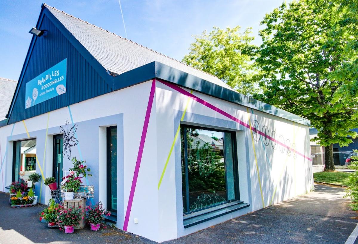 Brindilles et Coccinelles