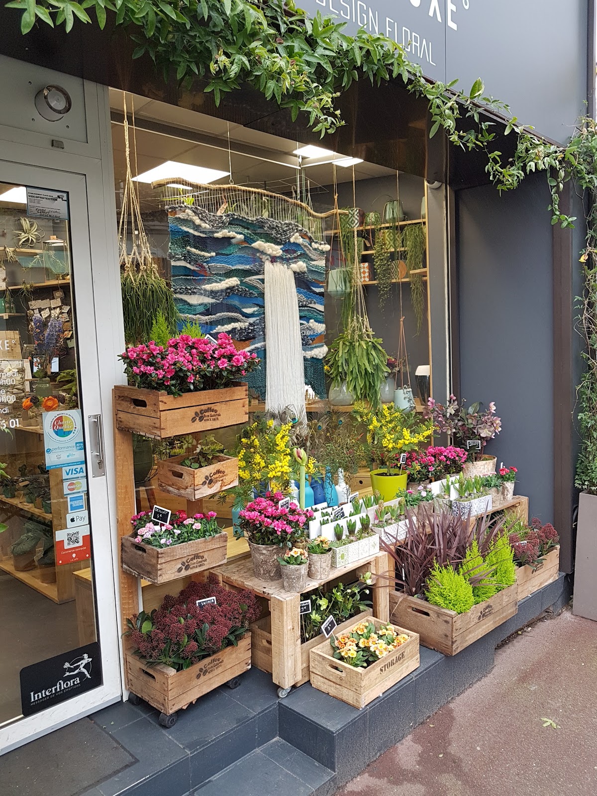 Paradoxe - Design Floral