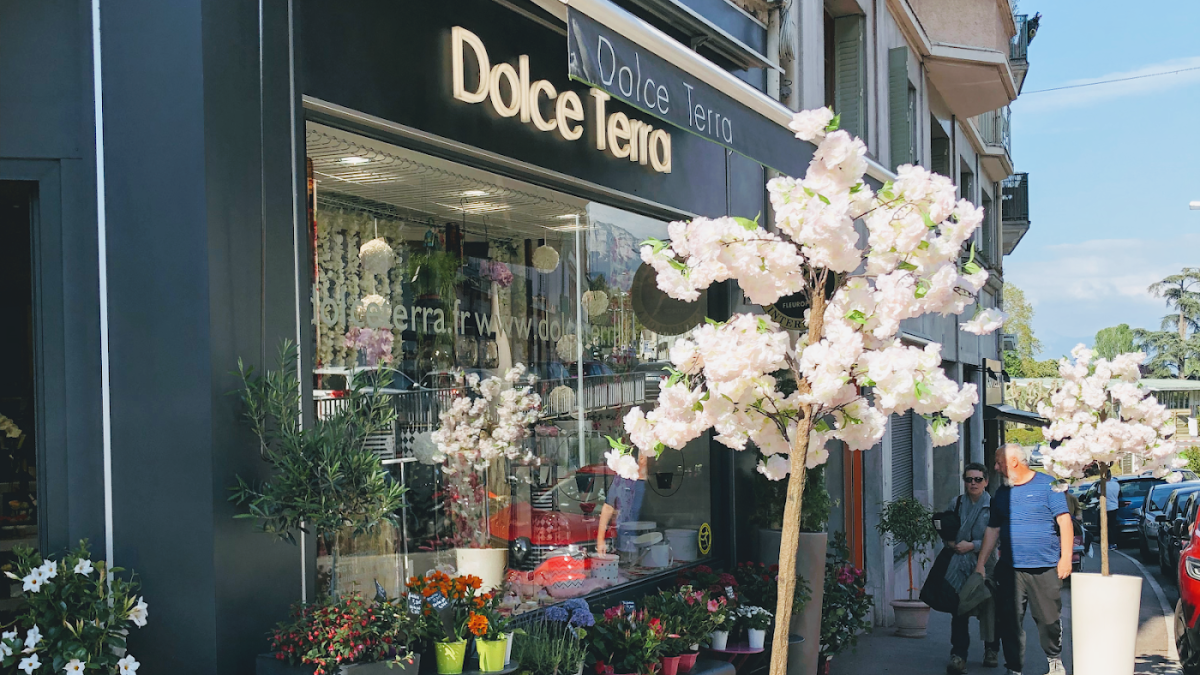 Dolce Terra