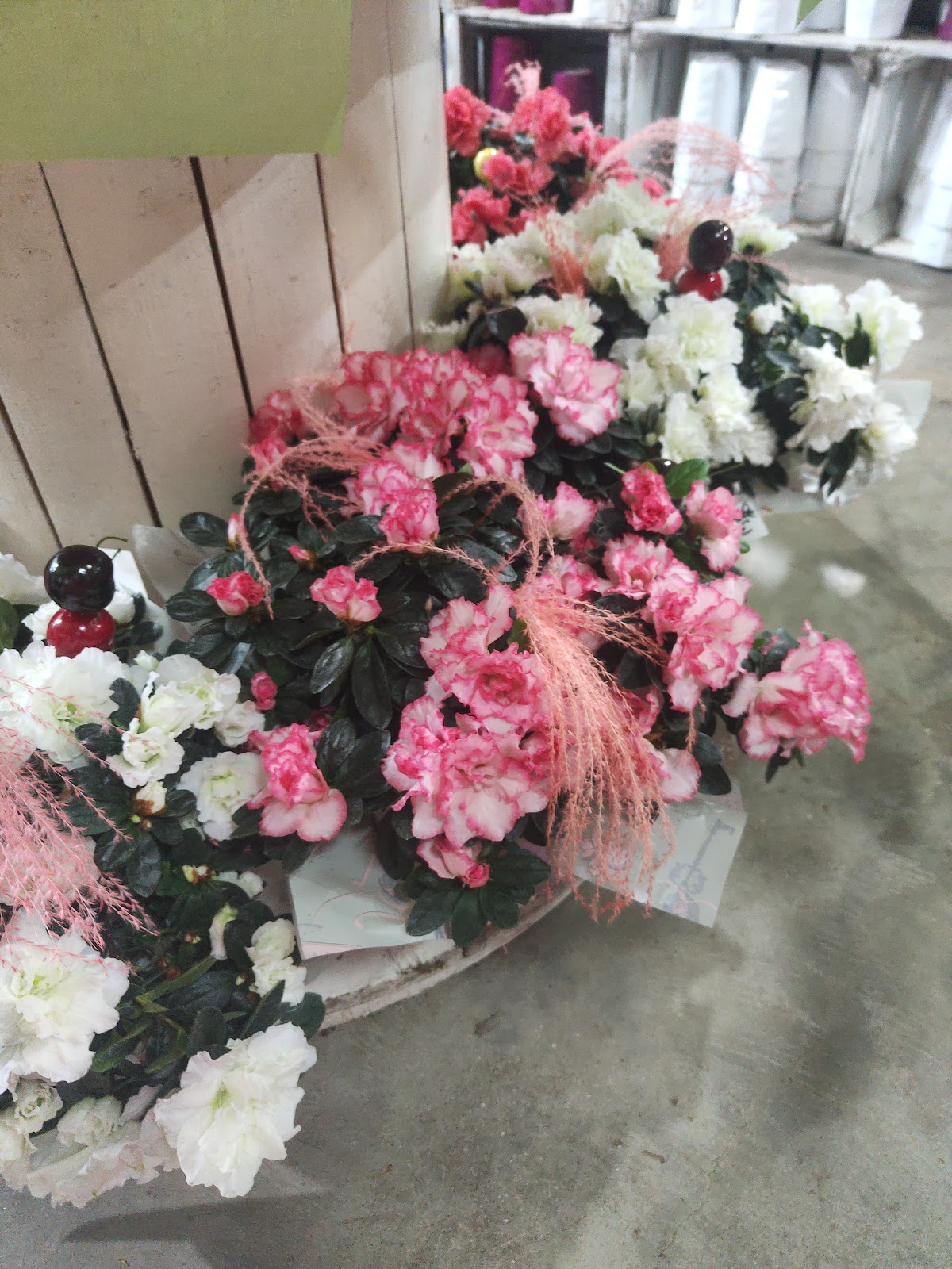 Servifleurs