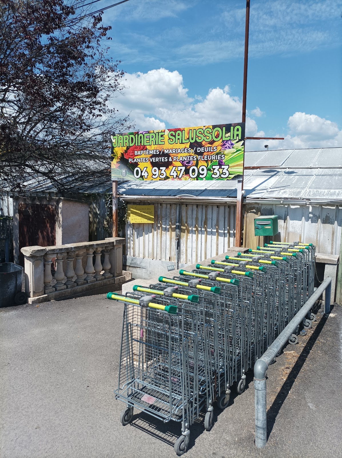 Jardinerie Salussolia