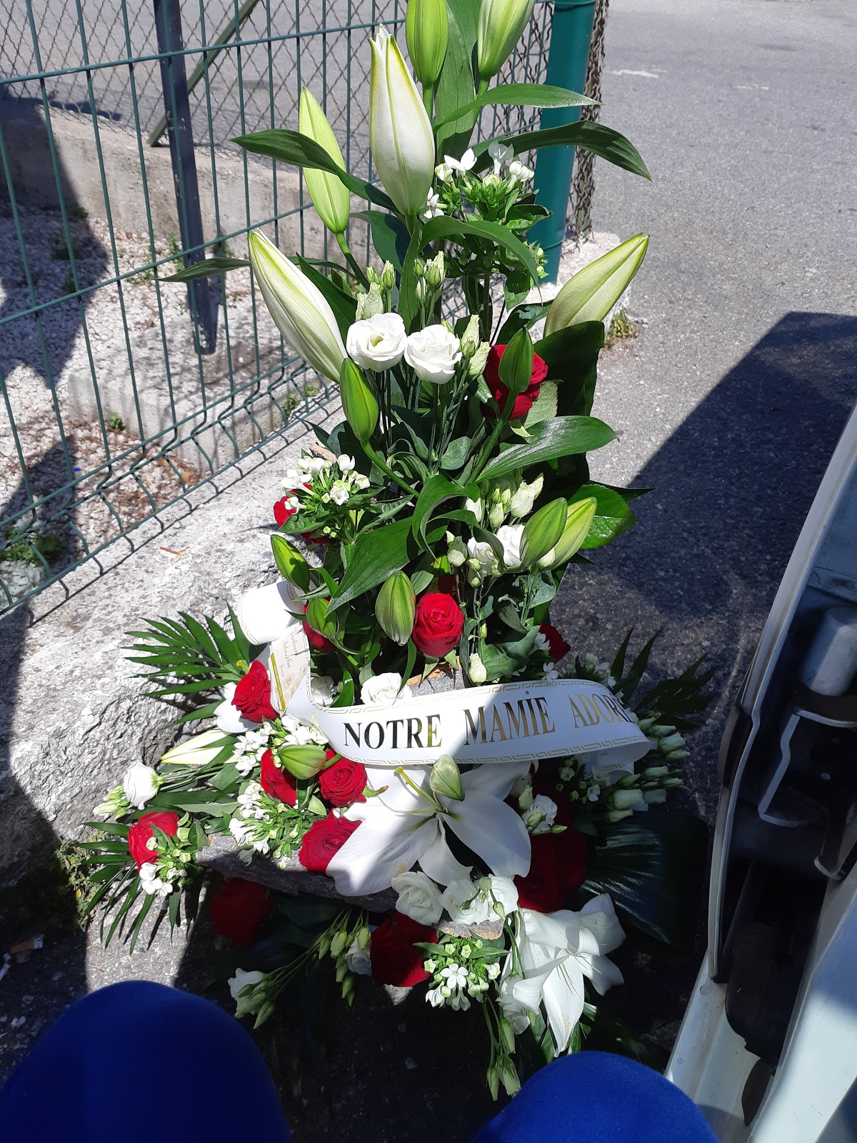 Jardinerie Salussolia