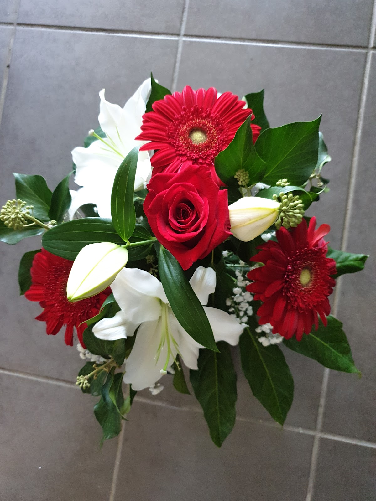 OXALIS Horizons Verts