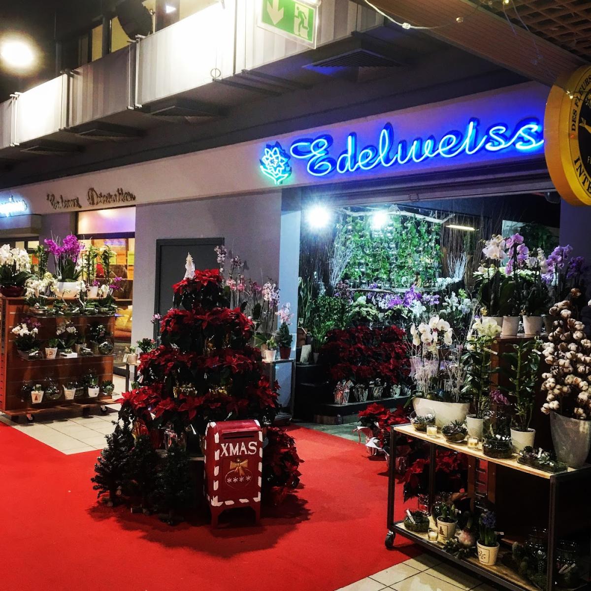 Edelweissfleurs