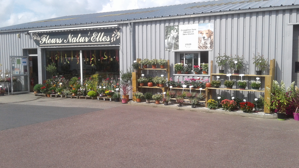Fleurs Natur'elles