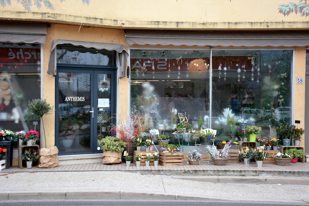 Le Shop Fleuri
