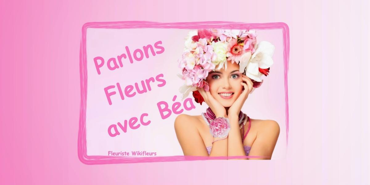 Parlons fleurs avec Béa