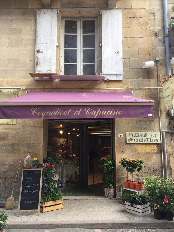 COQUELICOT ET CAPUCINE