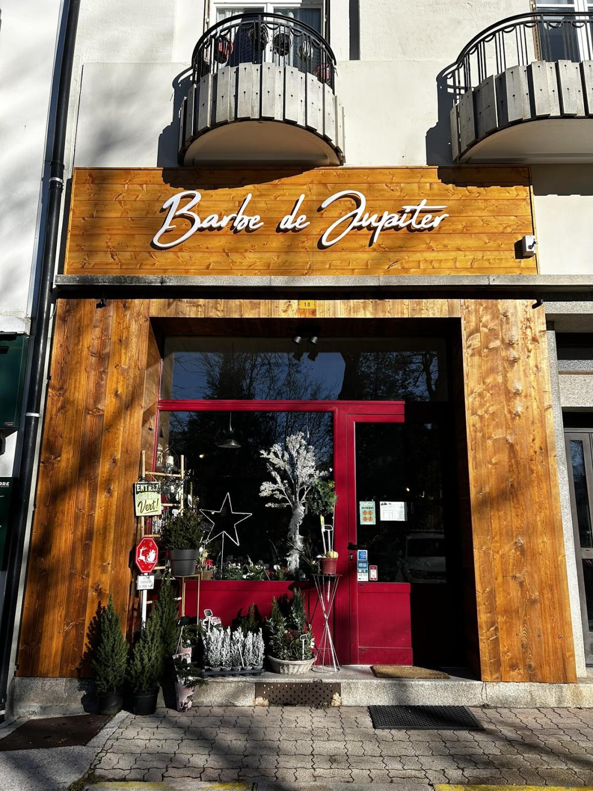 Barbe de Jupiter