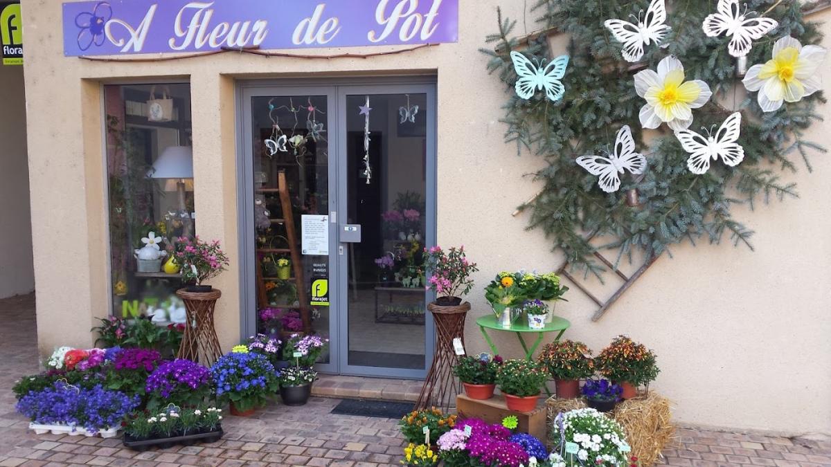 A Fleur de Pot