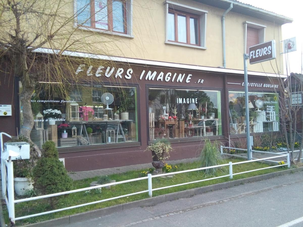 FLEURS IMAGINE