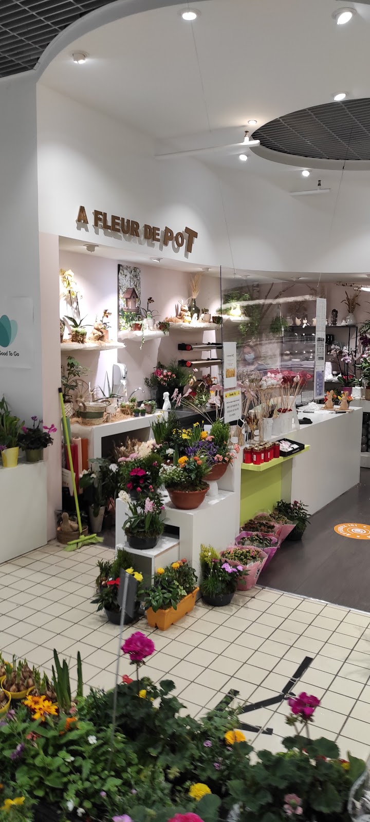 À FLEURS DE POT