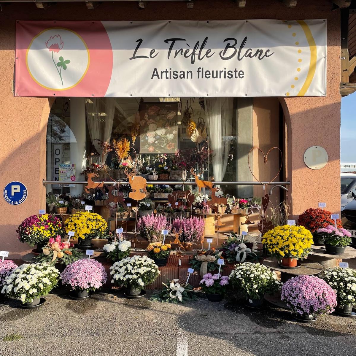 Le Trèfle Blanc Artisan Fleuriste