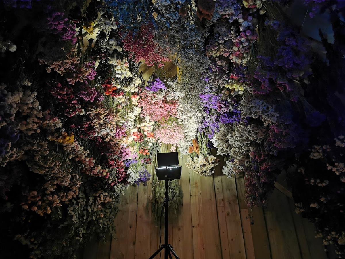 Fleurs de la Clarté