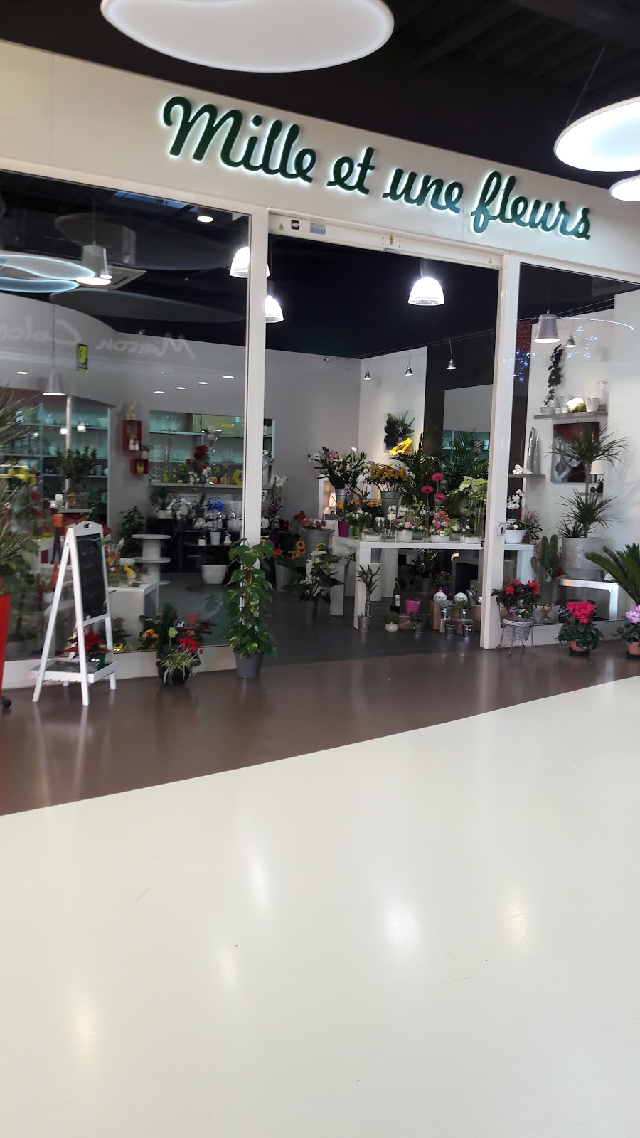Mille et une Fleurs