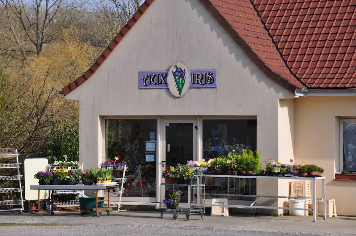 AUX IRIS Sabine Dhalleine