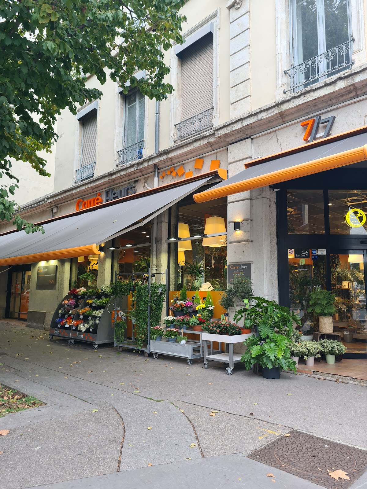 Carré Fleurs Lyon Vaise