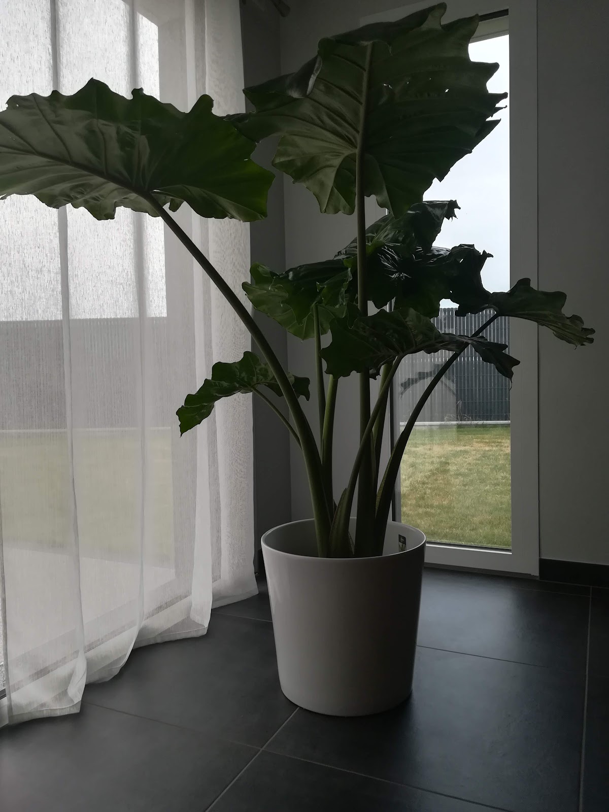 L' Atelier Des Fleurs