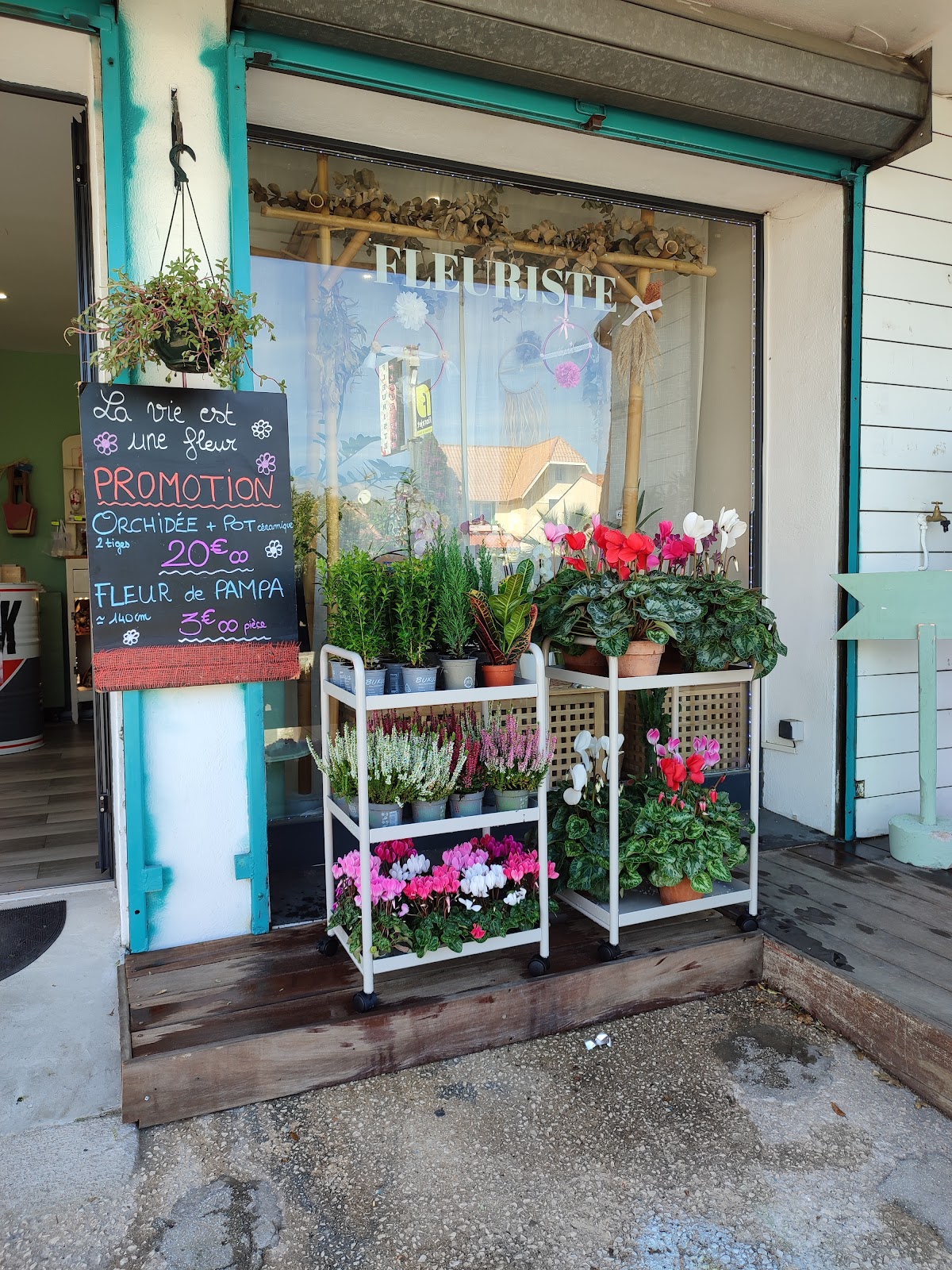La Vie est une Fleur, Fleuriste La Seyne sur Mer