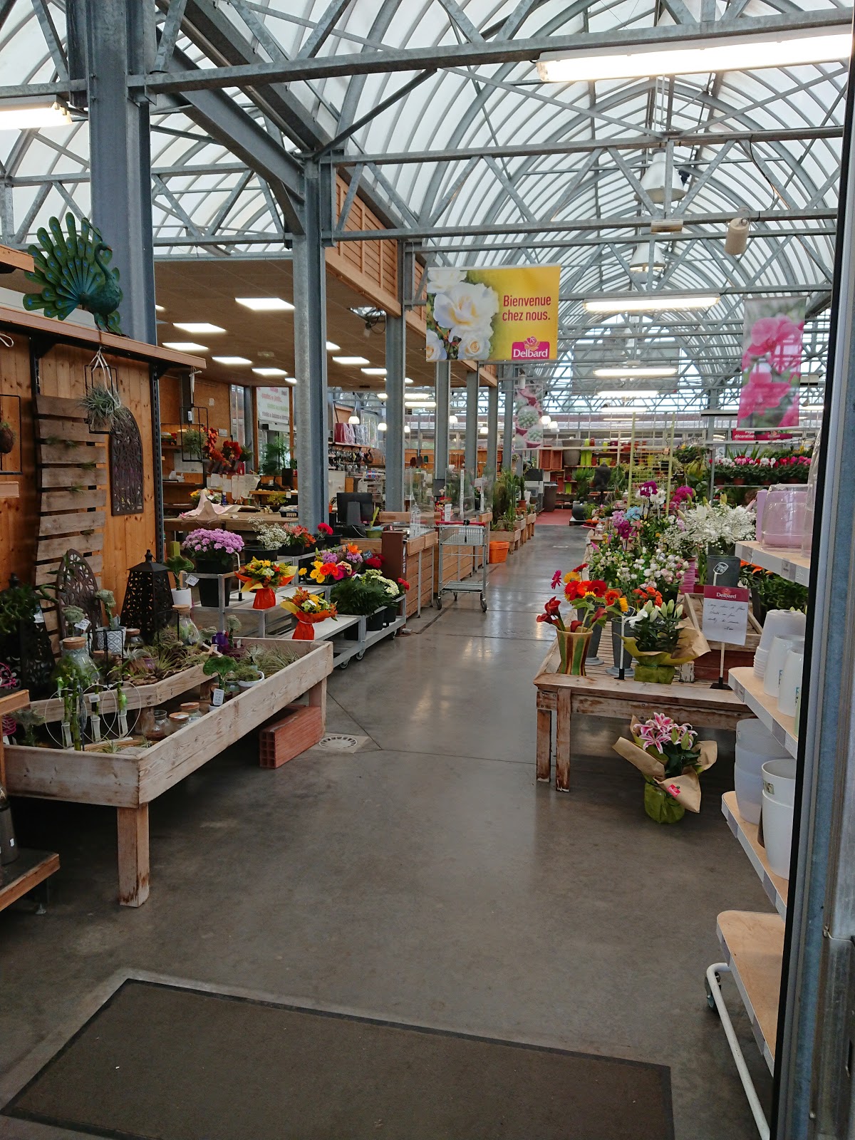 Halle O Fleurs - Jardinerie Delbard