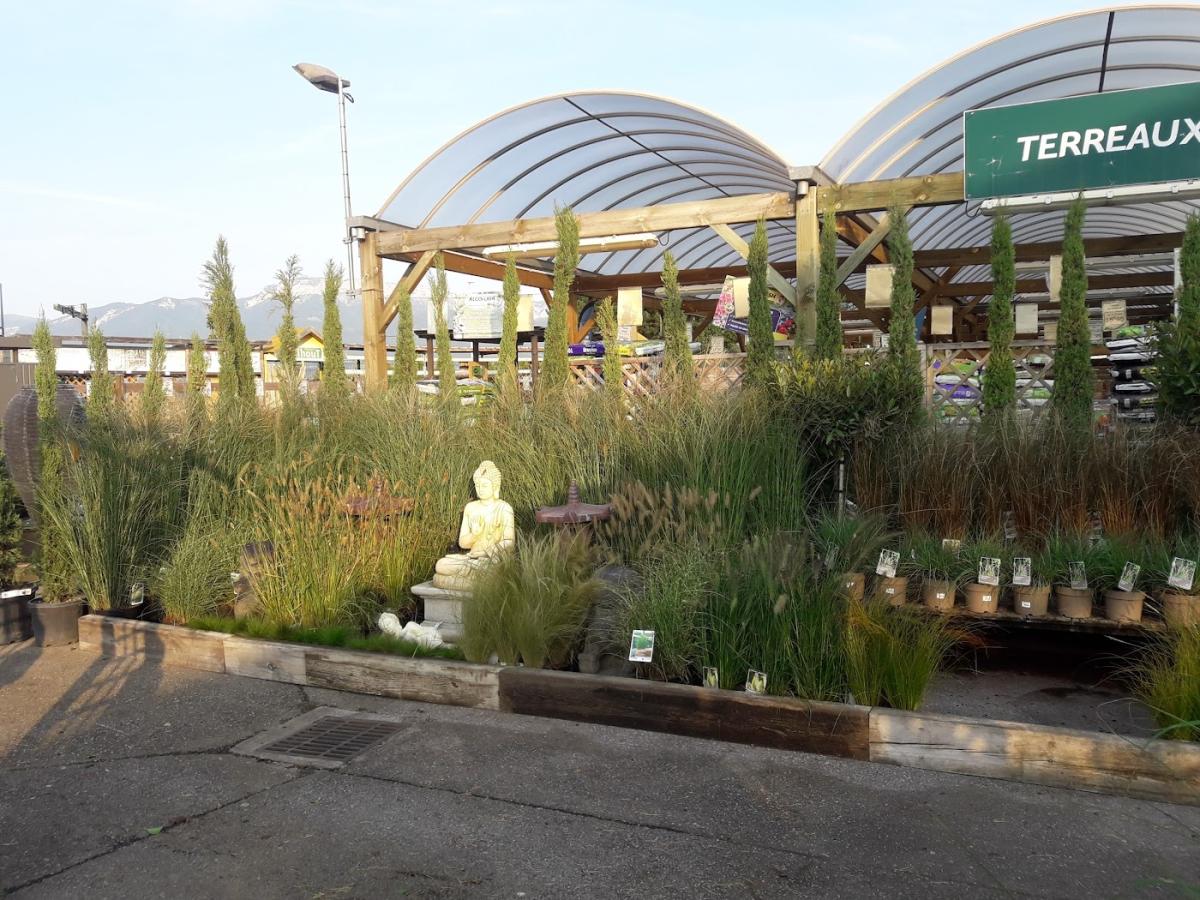 Fleurs et Plantes du Lac - Epagny