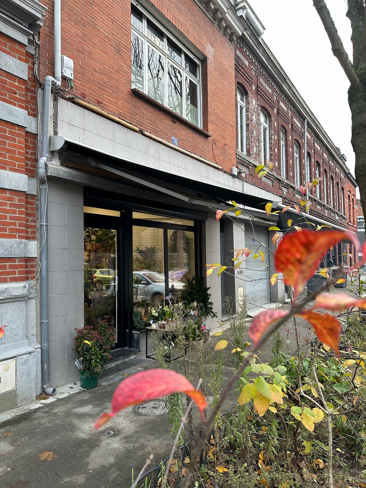 Les Fleurs de Caroline