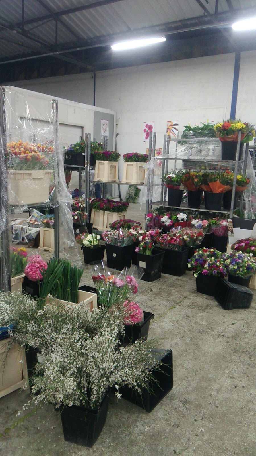 MARCHÉ FLORAL LYONNAIS Fournisseur grossiste fleurs plantes Lyon RÉSERVE AUX FLEURISTES