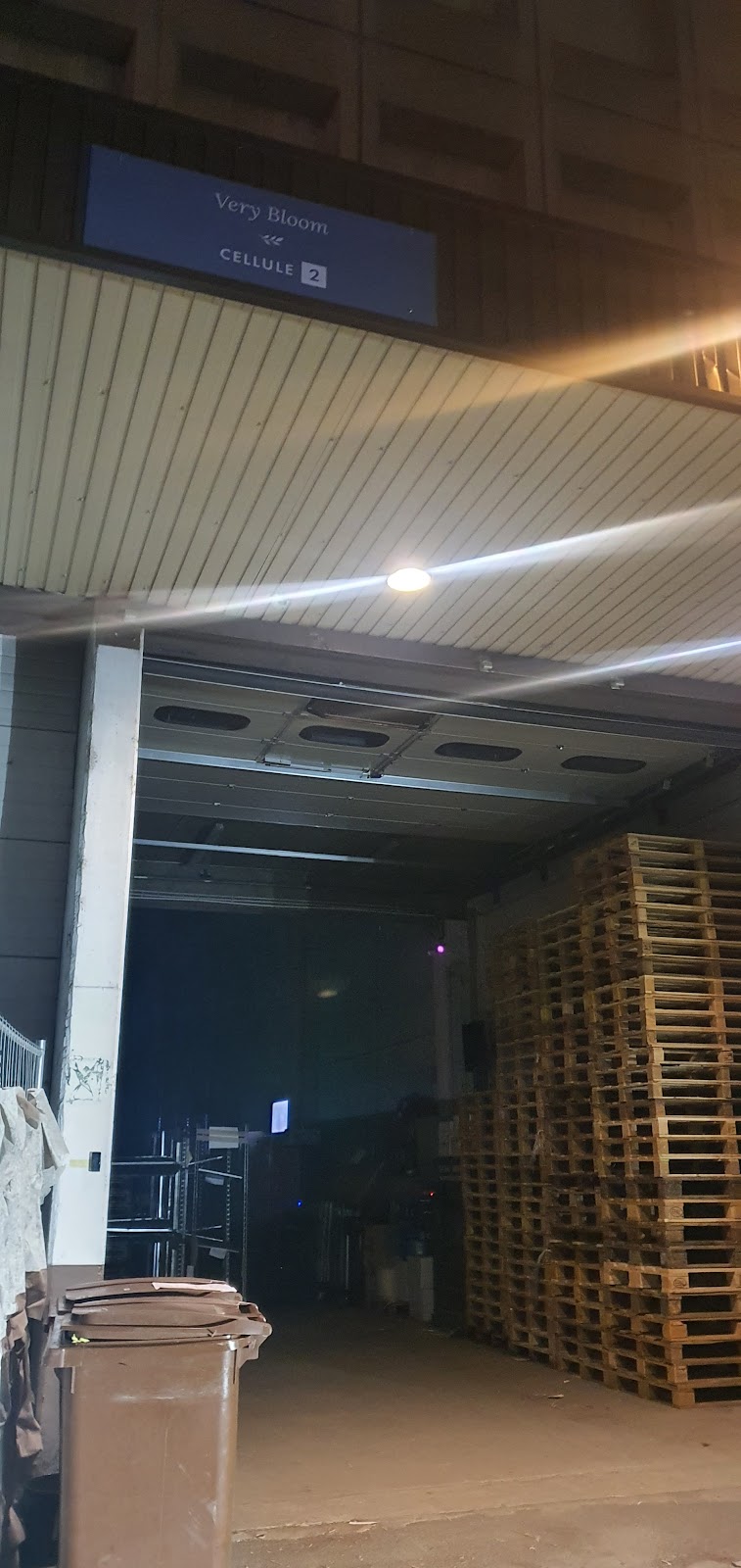 Very Bloom Production