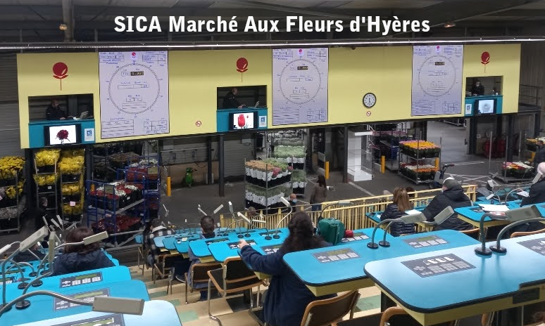 Marché aux Fleurs