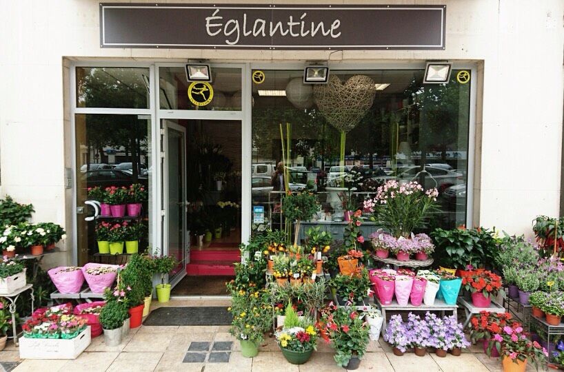 Eglantine