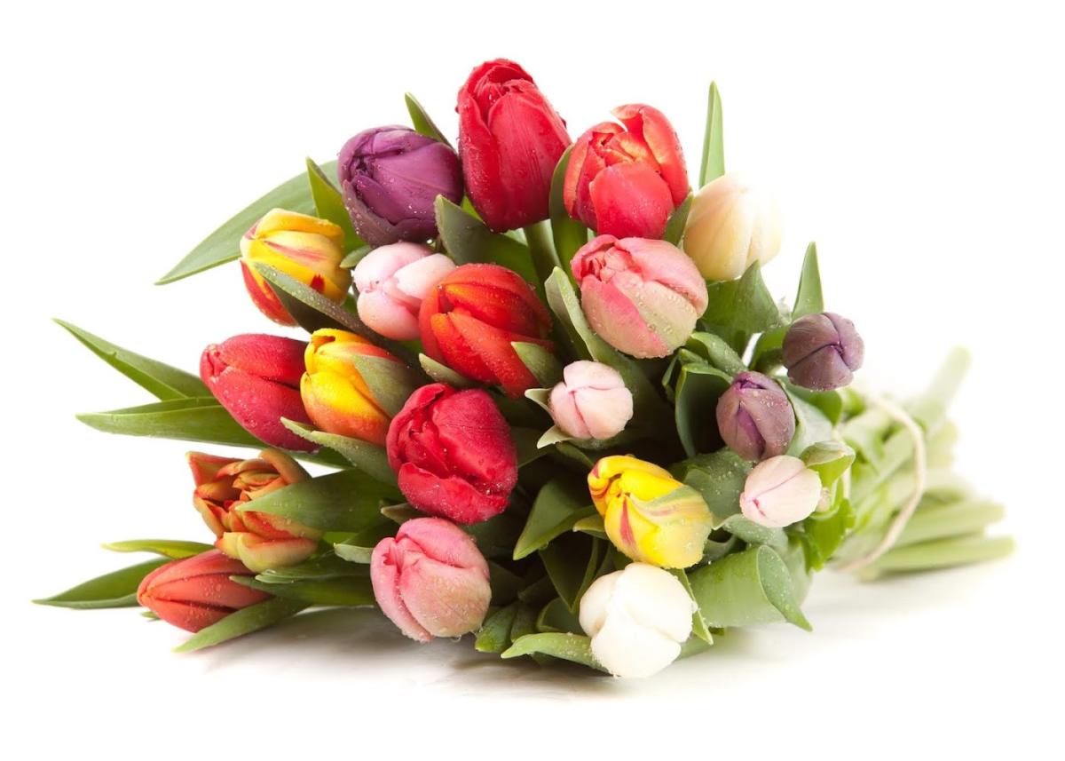 Bigot Fleurs