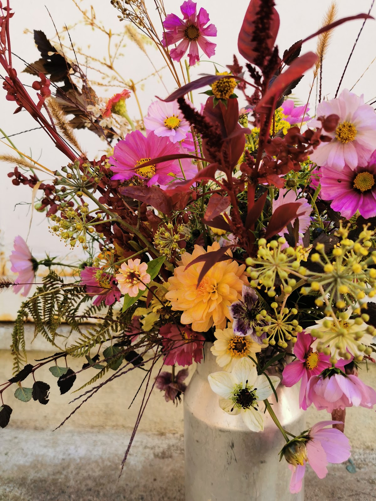 Chardon Ferme Florale