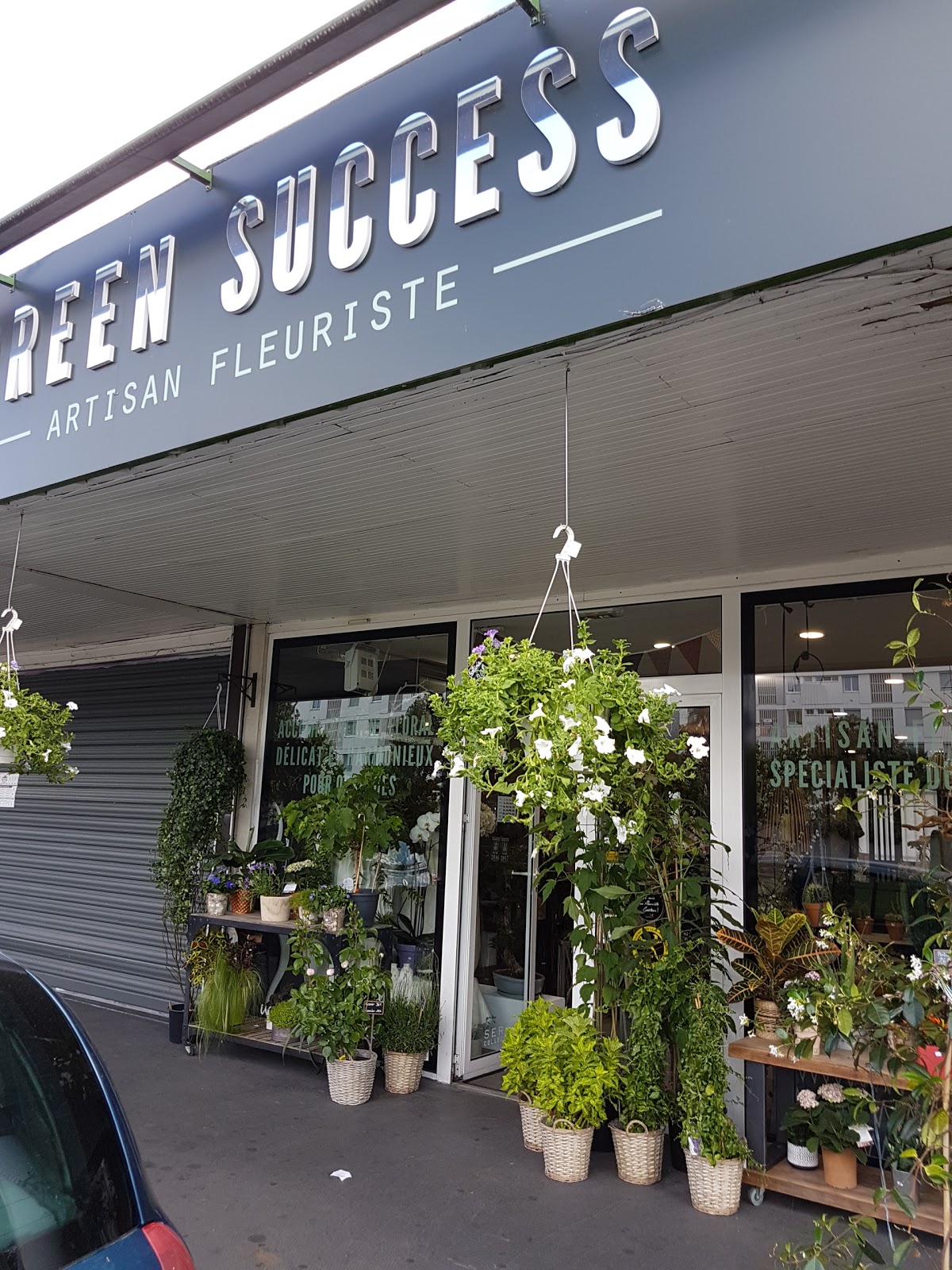 Atelier Green Success