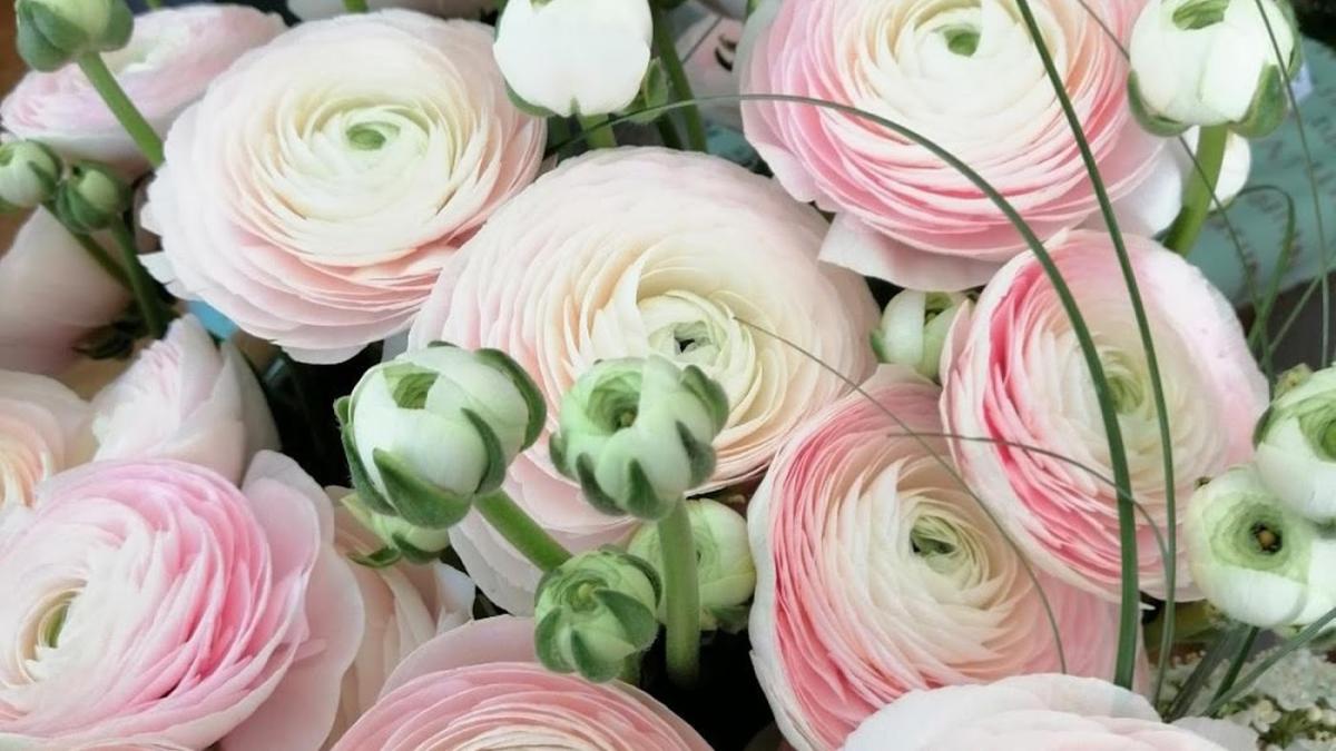 Aux Mille Fleurs, Artisan Fleuriste