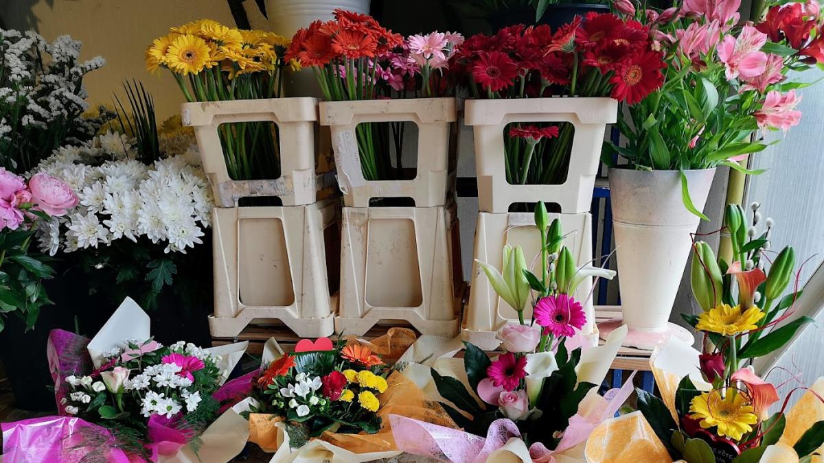 A la Salique Laurent Verdier