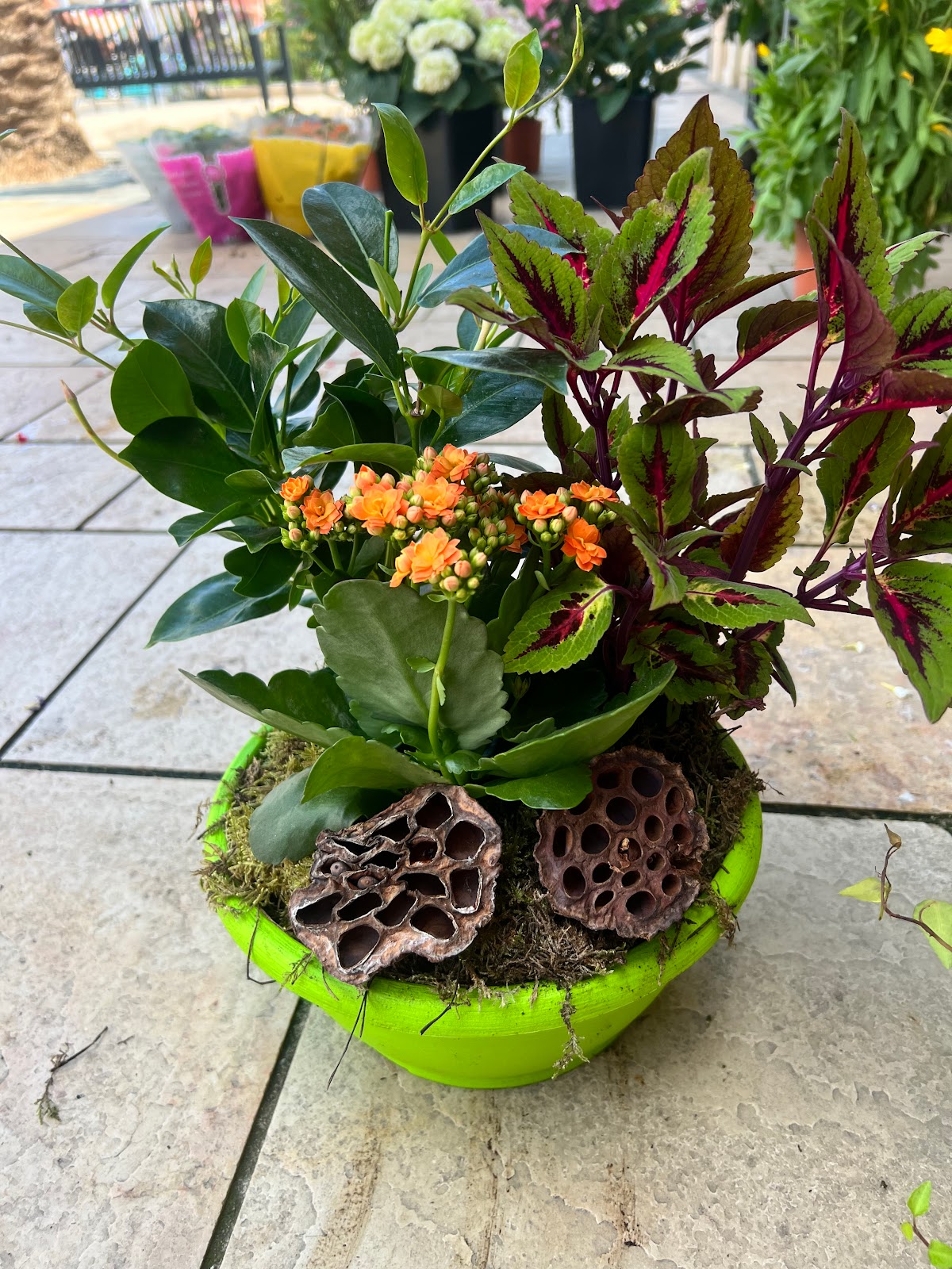 Aux Mille Et Une Roses