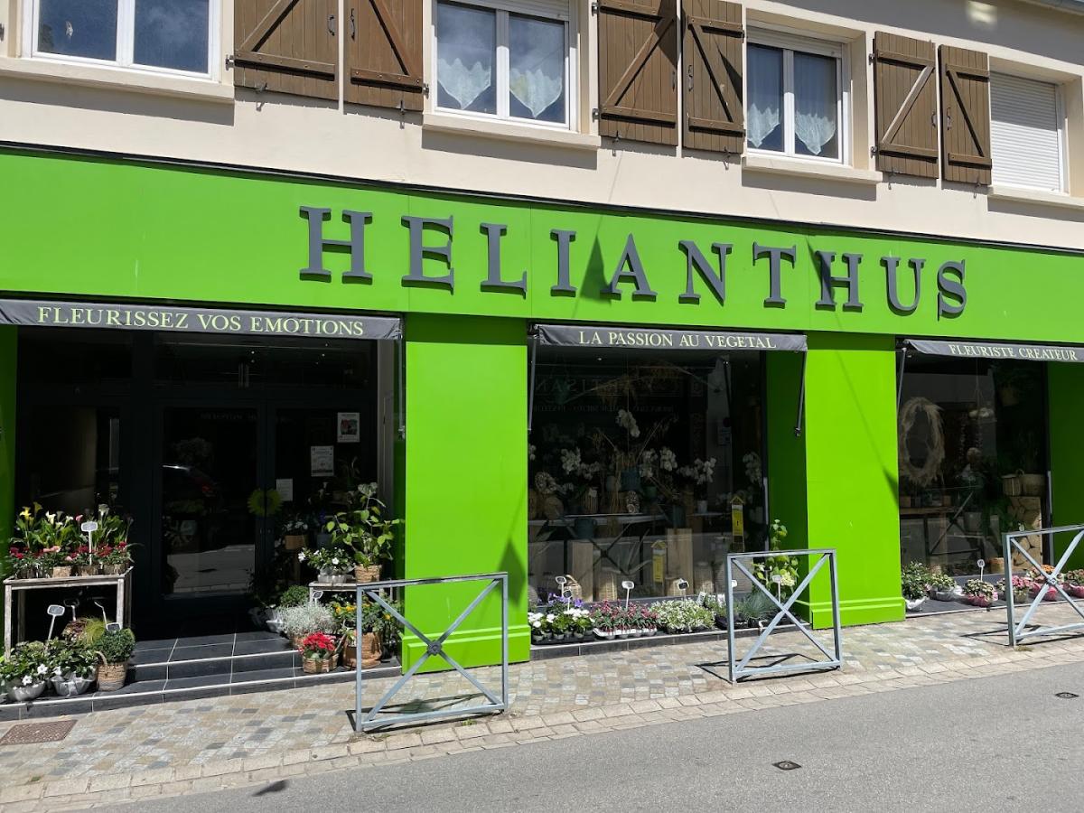 Hélianthus