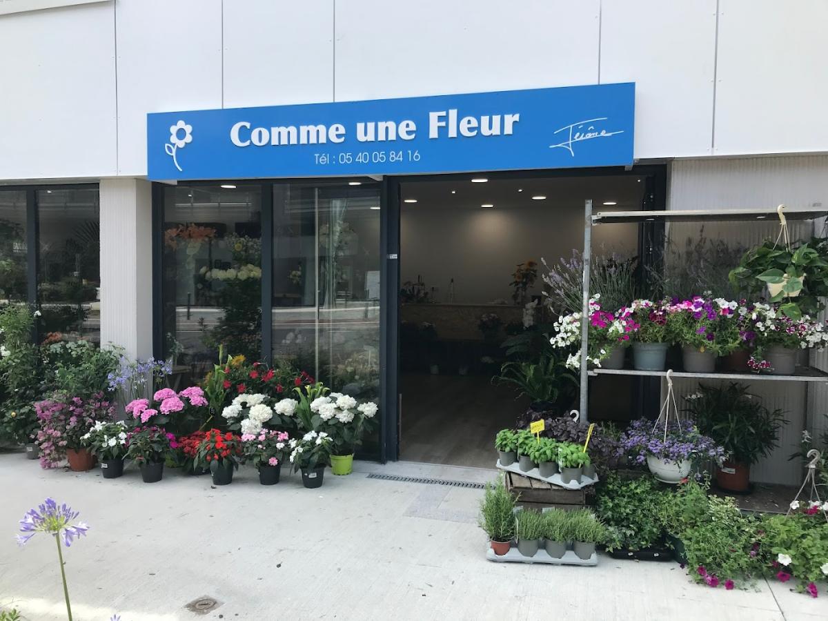 Comme une Fleur
