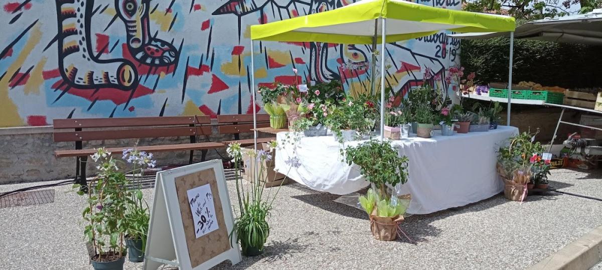 Les fleurs de l'âme