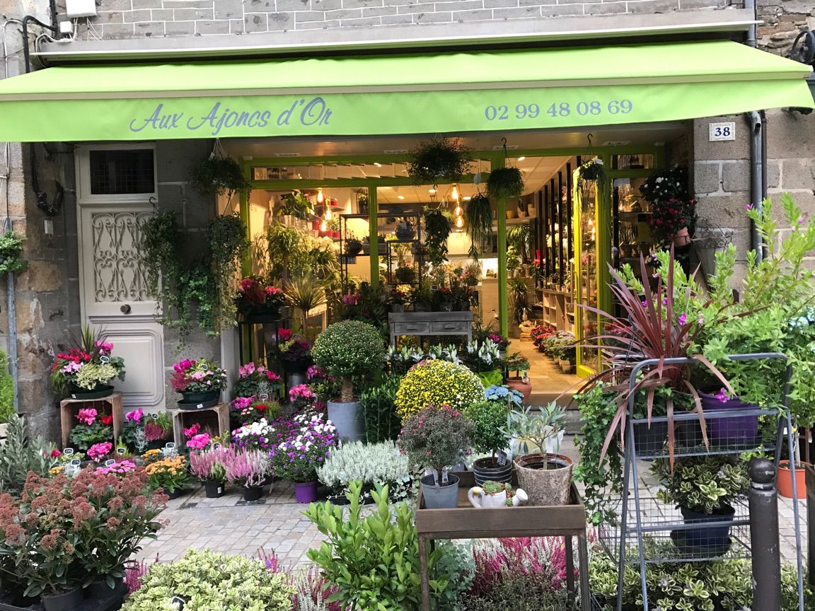 Aux Ajoncs d'Or