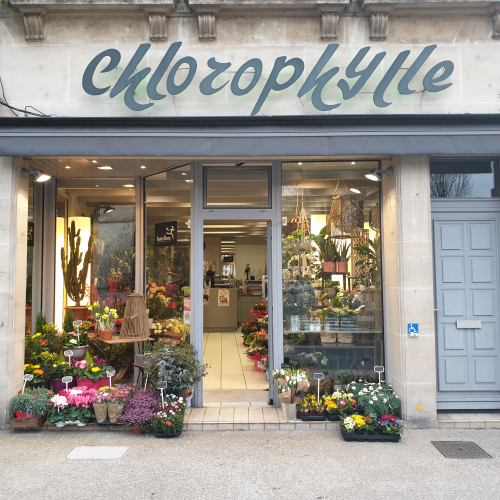 Chlorophylle Fleuriste à Bar le Duc