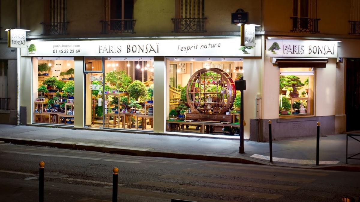 PARIS BONSAI
