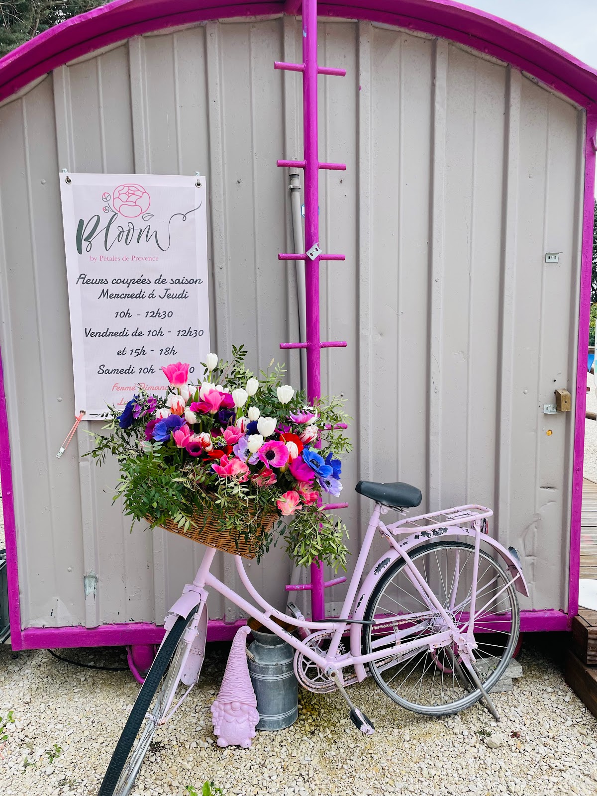 Bloom by petales de provence