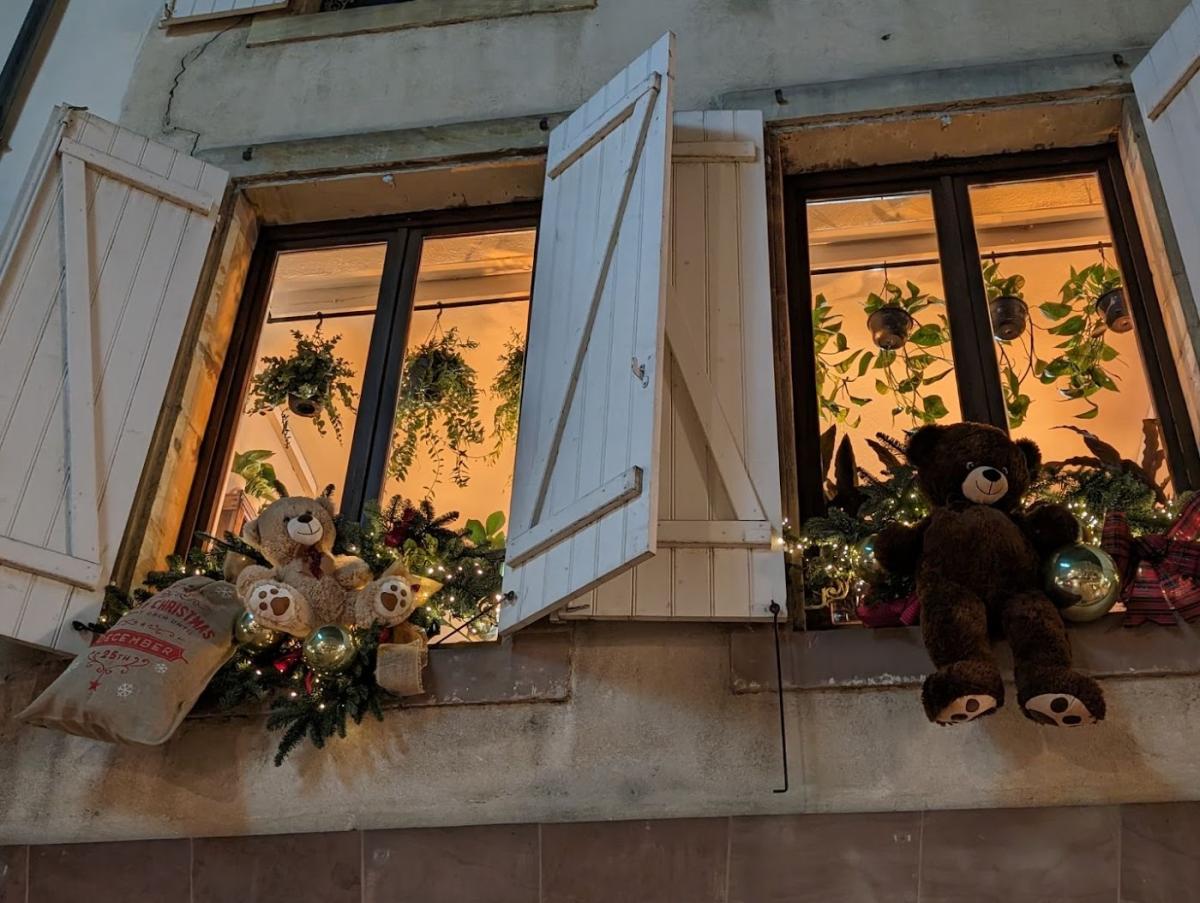 Hellèbores & Mandragores | Fleuriste Lunéville