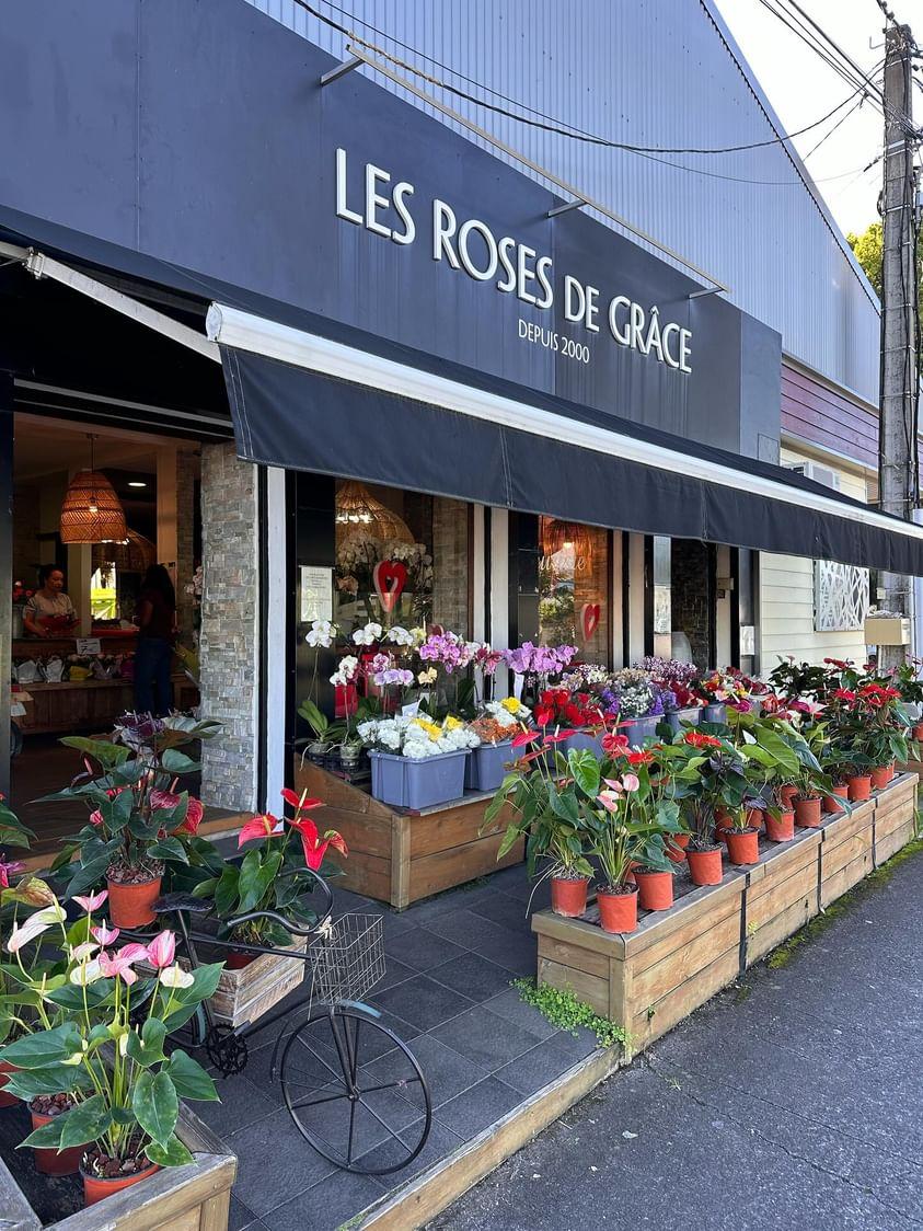 Les Roses de Grâce